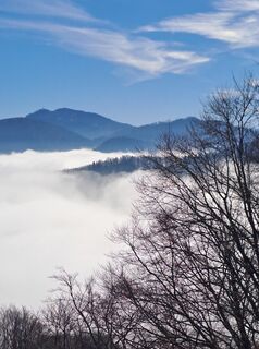 Photo de greinerin le long du parcours