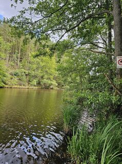 Fotografija s spletne strani Angelika Gerung na poti