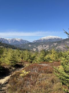 Fotografija s spletne strani Daniel Vogel na poti