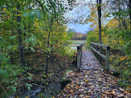 Brücke zum Weddelsee