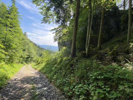 Foto de Sven Krieblin a lo largo del recorrido