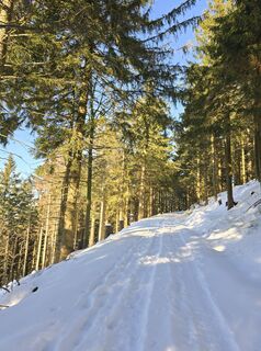 Foto von Michel Kennel entlang der Tour