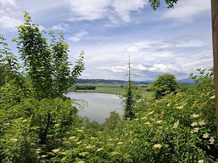 Photo de Josef Macher le long du parcours