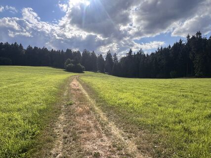 Foto von Geologie entlang der Tour