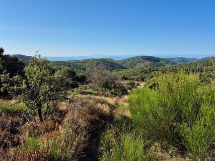 Rieussec die 3 Kugeln -4