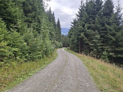 Photo de Karl Thies le long du parcours
