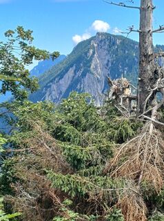 Photo de Marion Sperlich le long du parcours