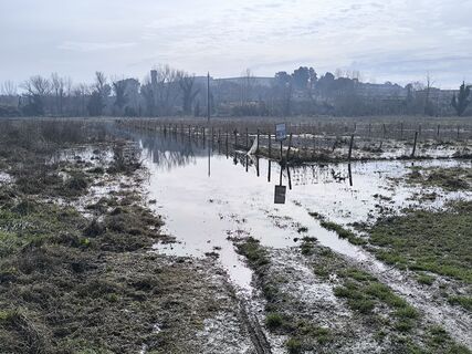Foto de Gerry Girardi a lo largo del recorrido