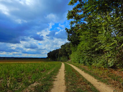 St. Margarethen - Marz/Rohbach