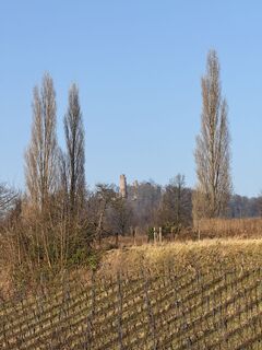 Foto von Armin Von Falkenhayn entlang der Tour