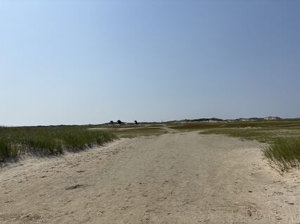 Foto von Andreas Niemann entlang der Tour