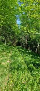 Foto van Klaus Gruber 3 langs de tour