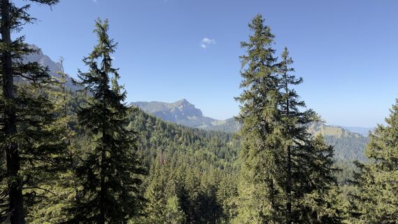 Foto von Peter Burki entlang der Tour