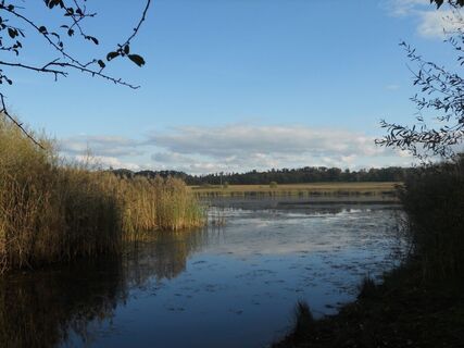 Naturschutzgebiet Roßweiher Maulbronn