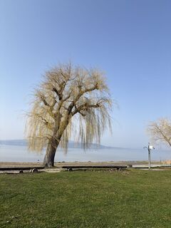 Foto von Lars Klein entlang der Tour