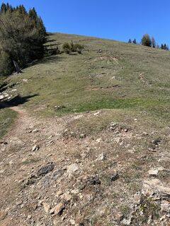 Photo de Sissi Maria Kaiser le long du parcours