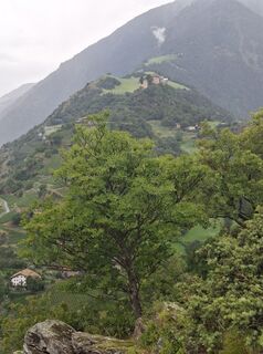 Foto de Franziska Mosebach a lo largo del recorrido