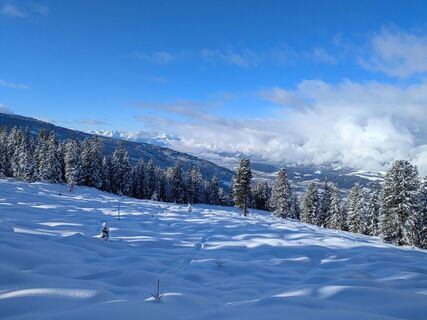 Photo de Andreas Schnur le long du parcours