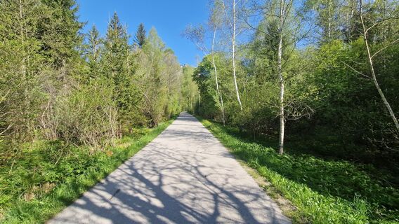 Zdjęcie z EP87 wzdłuż trasy