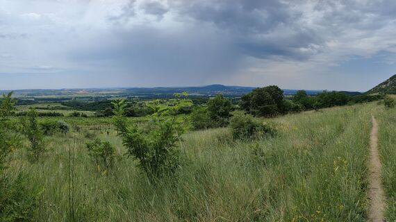 Fotografija s spletne strani Annamária Bánki na poti