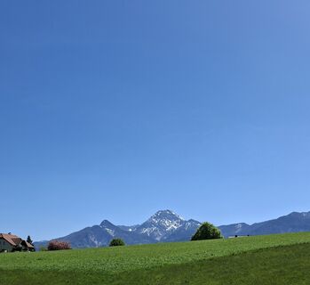 Foto von Mangolein entlang der Tour