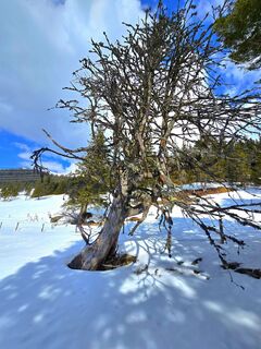 Photo de MRDL le long du parcours