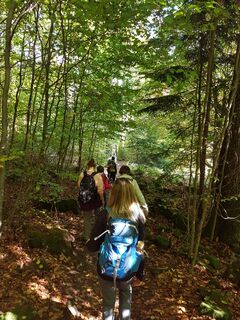 TG Odenwald Neckarsteig Wanderer Neckargemuend