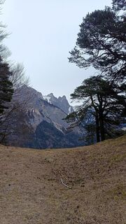 Fotografija s spletne strani Joe Täschler na poti
