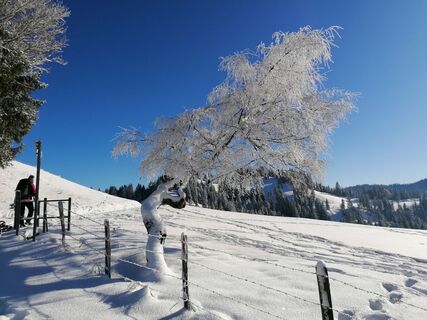 Fotografia z luyyy na trase