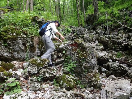 Tour Weichtalklamm