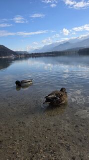 Foto von Martin Lexa entlang der Tour