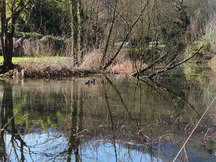 Fotografija s spletne strani Luca Zagallo na poti