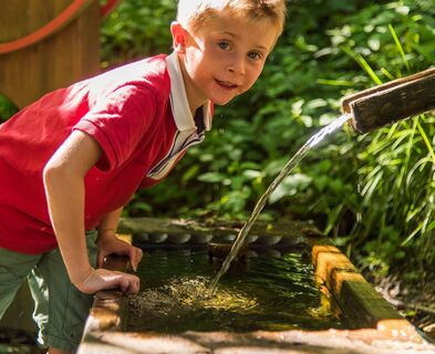 Trinkwasserqualität