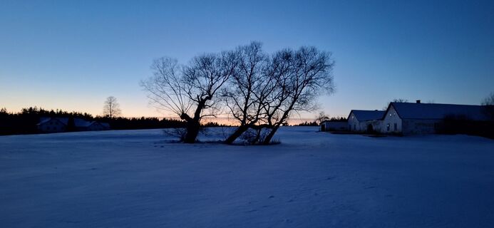 Foto de Deutsch Margit a lo largo del recorrido