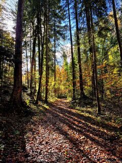 Fotografie de la Thomas Schekira de-a lungul turului