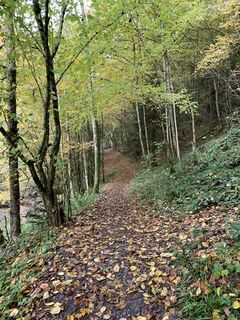 Photo de Stefan Kohout le long du parcours