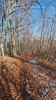 Foto von Regina Fleischmann entlang der Tour