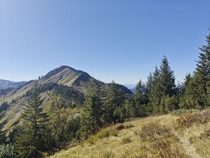 Fotografija s spletne strani Xenia Lange na poti