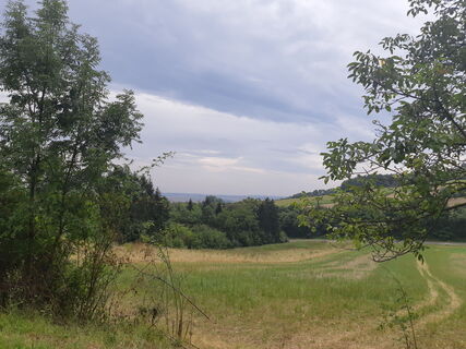 Foto von mmecki entlang der Tour