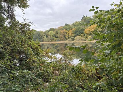 Foto de Grizzli a lo largo del recorrido