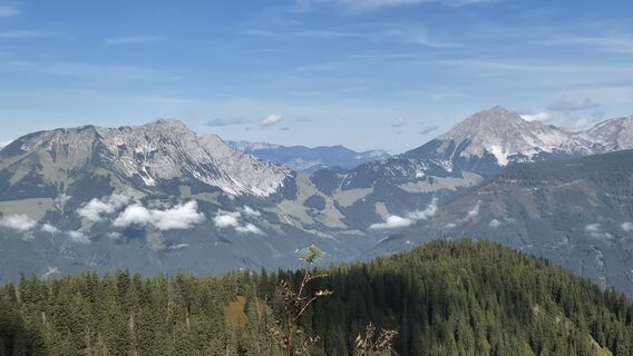Foto von Doris Falk entlang der Tour