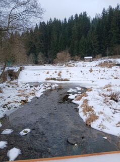 Fotografia z Gerald S. Widmann na trase