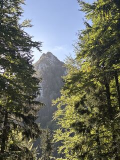 Fotografija s spletne strani Vero Hochreiner na poti