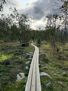 Fotografia z Justin Rider na trase