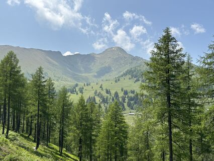 Foto von W Thiem entlang der Tour