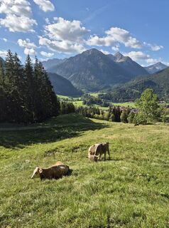 Fotografie z Gerd Schaefer na trase