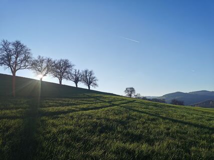 Fotó a Maxspeed honlapról a túra során
