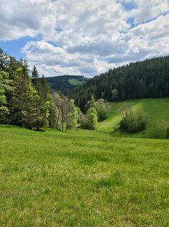 Foto von W B MA entlang der Tour