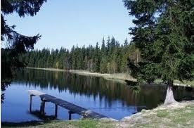 Stierhübelteich