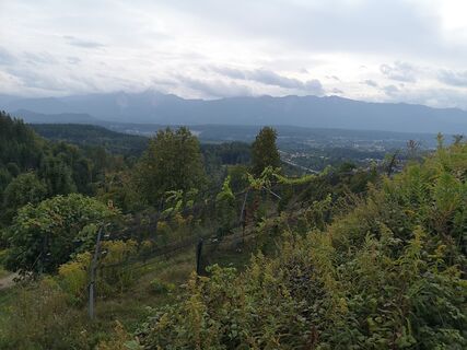 Fotografija s spletne strani roxana62 na poti